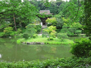 円成寺前景