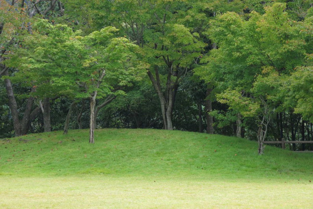 宮島サービスエリア