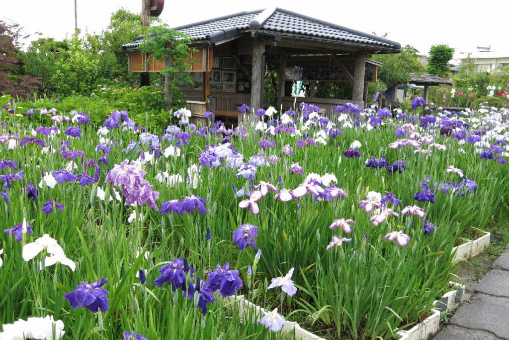 造園すみとも