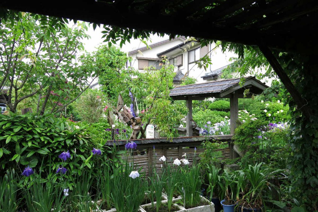 花しょうぶ園