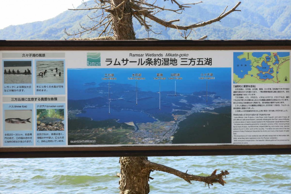 三方五湖