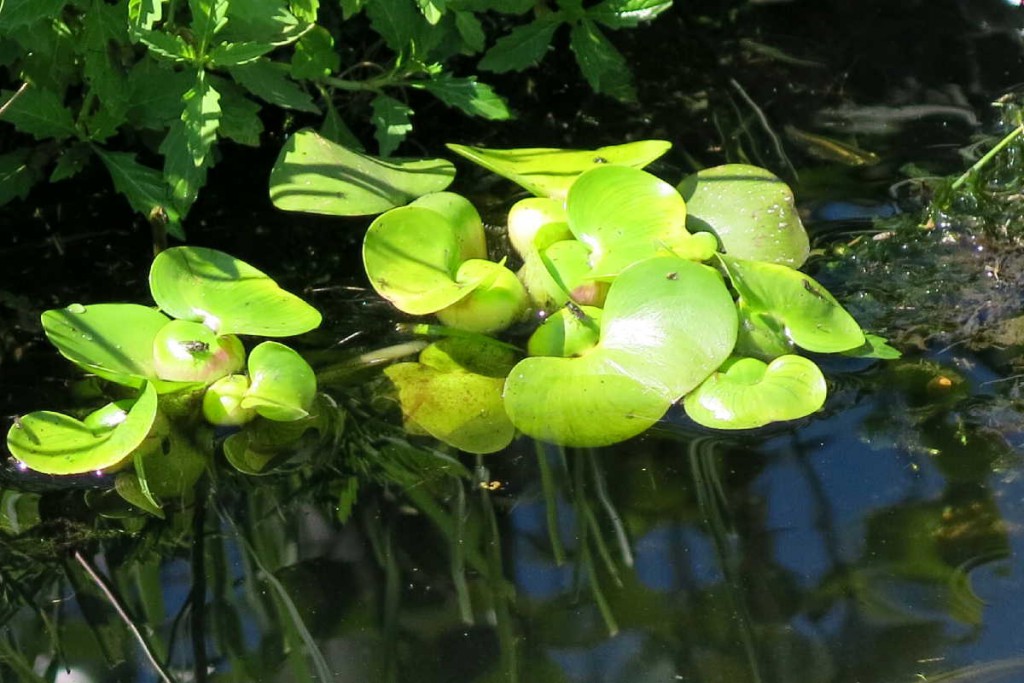 三方五湖　山頂公園